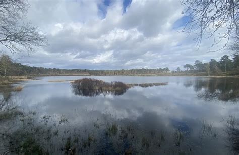 omgeving peer|De 10 beste wandelroutes om te wandelen in Peer 